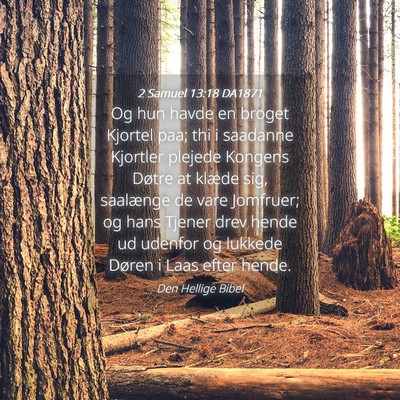 Picture 04 - 2 Samuel 13:18 DA1871 - Og hun havde en broget Kjortel paa; thi i - Bible Verse Picture