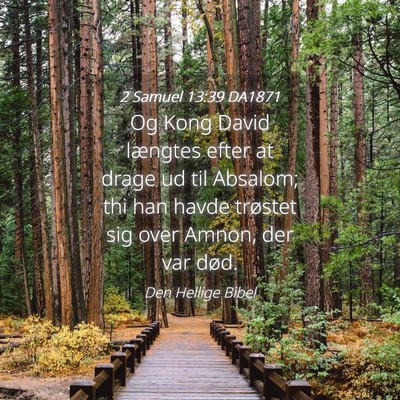 Picture 04 - 2 Samuel 13:39 DA1871 - Og Kong David længtes efter at drage ud til - Bible Verse Picture