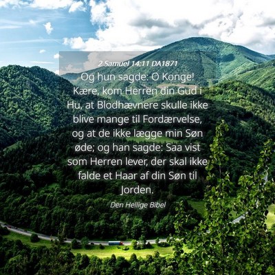 Picture 04 - 2 Samuel 14:11 DA1871 - Og hun sagde: O Konge! Kære, kom Herren din Gud - Bible Verse Picture