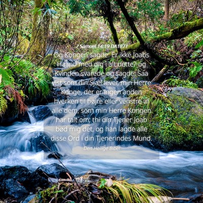 Picture 04 - 2 Samuel 14:19 DA1871 - Og Kongen sagde: Er ikke Joabs Haand med dig i - Bible Verse Picture