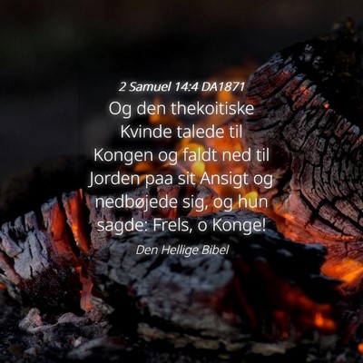 Picture 04 - 2 Samuel 14:4 DA1871 - Og den thekoitiske Kvinde talede til Kongen og - Bible Verse Picture