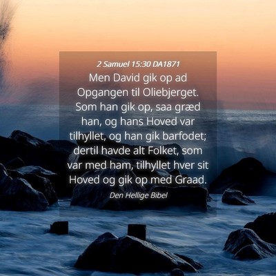 Picture 04 - 2 Samuel 15:30 DA1871 - Men David gik op ad Opgangen til Oliebjerget. Som - Bible Verse Picture
