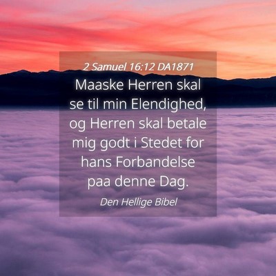 Picture 04 - 2 Samuel 16:12 DA1871 - Maaske Herren skal se til min Elendighed, og - Bible Verse Picture
