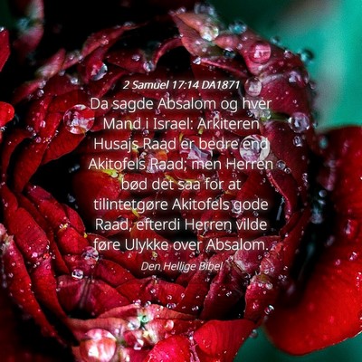Picture 04 - 2 Samuel 17:14 DA1871 - Da sagde Absalom og hver Mand i Israel: Arkiteren - Bible Verse Picture