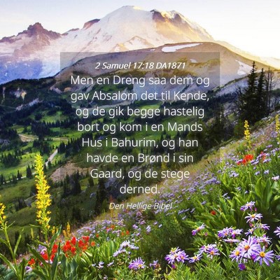 Picture 04 - 2 Samuel 17:18 DA1871 - Men en Dreng saa dem og gav Absalom det til - Bible Verse Picture