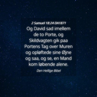 Picture 04 - 2 Samuel 18:24 DA1871 - Og David sad imellem de to Porte, og Skildvagten - Bible Verse Picture