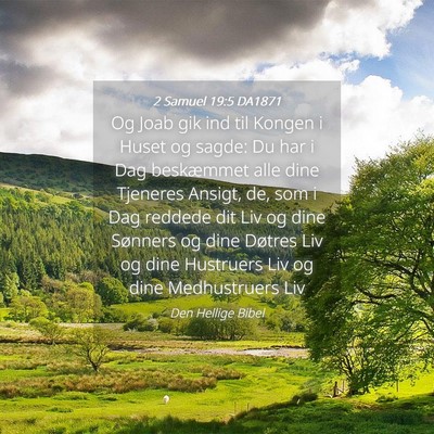 Picture 04 - 2 Samuel 19:5 DA1871 - Og Joab gik ind til Kongen i Huset og sagde: Du - Bible Verse Picture