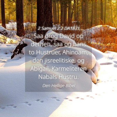 Picture 04 - 2 Samuel 2:2 DA1871 - Saa drog David op derhen, saa og hans to - Bible Verse Picture