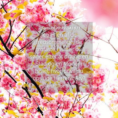 Picture 04 - 2 Samuel 20:19 DA1871 - Jeg er en af de fredsommelige, de trofaste i - Bible Verse Picture