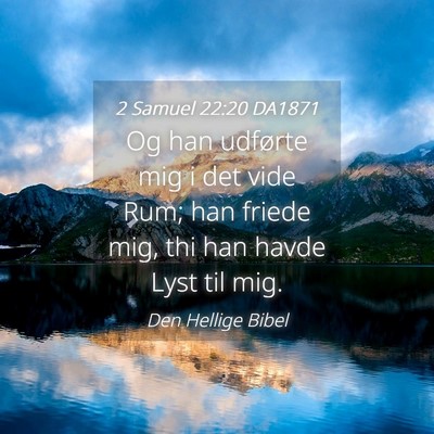 Picture 04 - 2 Samuel 22:20 DA1871 - Og han udførte mig i det vide Rum; han friede - Bible Verse Picture