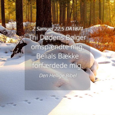Picture 04 - 2 Samuel 22:5 DA1871 - Thi Dødens Bølger omspændte mig, Belials - Bible Verse Picture