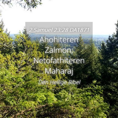 Picture 04 - 2 Samuel 23:28 DA1871 - Ahohiteren Zalmon; Netofathiteren - Bible Verse Picture