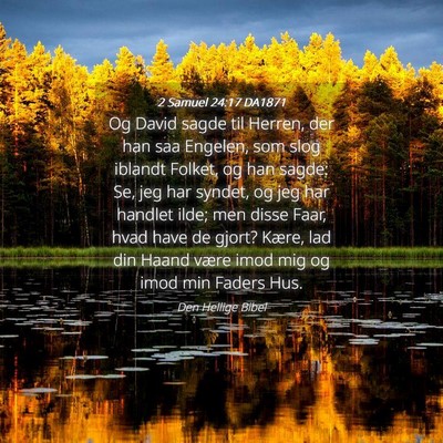 Picture 04 - 2 Samuel 24:17 DA1871 - Og David sagde til Herren, der han saa Engelen, - Bible Verse Picture