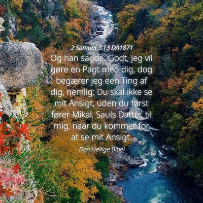 Picture 04 - 2 Samuel 3:13 DA1871 - Og han sagde: Godt, jeg vil gøre en Pagt med - Bible Verse Picture
