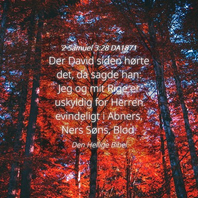 Picture 04 - 2 Samuel 3:28 DA1871 - Der David siden hørte det, da sagde han: Jeg og - Bible Verse Picture