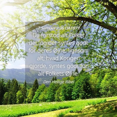 Picture 04 - 2 Samuel 3:36 DA1871 - Da forstod alt Folket det, og det syntes godt for - Bible Verse Picture