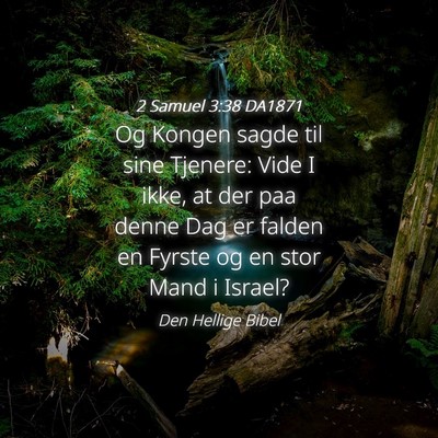 Picture 04 - 2 Samuel 3:38 DA1871 - Og Kongen sagde til sine Tjenere: Vide I ikke, at - Bible Verse Picture