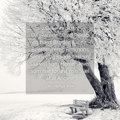 Picture 04 - 2 Samuel 4:9 DA1871 - Da svarede David Rekab og hans Broder Baena, - Bible Verse Picture