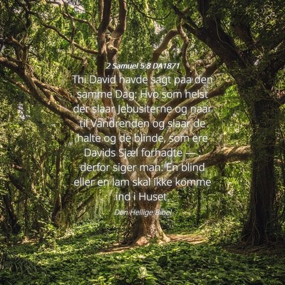 Picture 04 - 2 Samuel 5:8 DA1871 - Thi David havde sagt paa den samme Dag: Hvo som - Bible Verse Picture