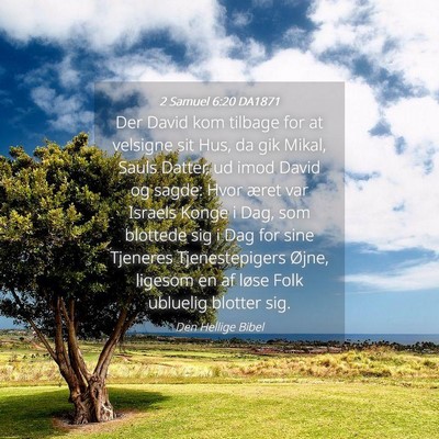 Picture 04 - 2 Samuel 6:20 DA1871 - Der David kom tilbage for at velsigne sit Hus, da - Bible Verse Picture
