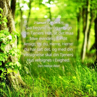 Picture 04 - 2 Samuel 7:29 DA1871 - Saa begynd nu og velsign din Tjeners Hus, at det - Bible Verse Picture