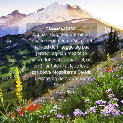 Picture 04 - 2 Samuel 8:2 DA1871 - Og han slog Moabiterne og maalte dem med en Snor, - Bible Verse Picture