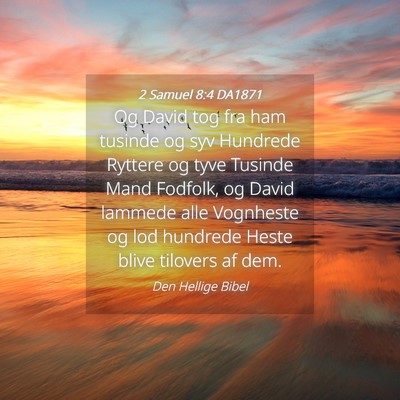 Picture 04 - 2 Samuel 8:4 DA1871 - Og David tog fra ham tusinde og syv Hundrede - Bible Verse Picture
