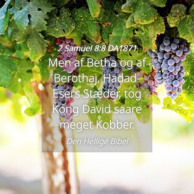 Picture 04 - 2 Samuel 8:8 DA1871 - Men af Betha og af Berothaj, Hadad-Esers Stæder, - Bible Verse Picture