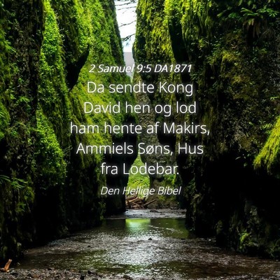 Picture 04 - 2 Samuel 9:5 DA1871 - Da sendte Kong David hen og lod ham hente af - Bible Verse Picture
