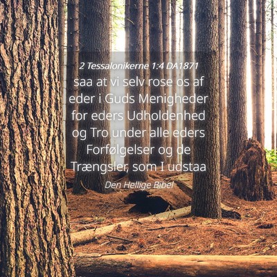 Picture 04 - 2 Tessalonikerne 1:4 DA1871 - saa at vi selv rose os af eder i Guds Menigheder - Bible Verse Picture