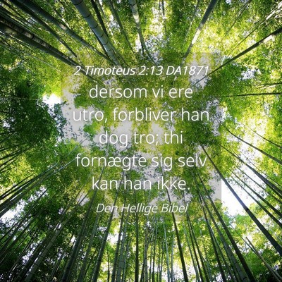 Picture 04 - 2 Timoteus 2:13 DA1871 - dersom vi ere utro, forbliver han dog tro; thi - Bible Verse Picture