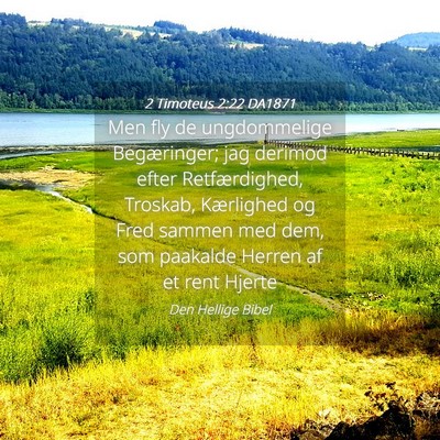 Picture 04 - 2 Timoteus 2:22 DA1871 - Men fly de ungdommelige Begæringer; jag derimod - Bible Verse Picture