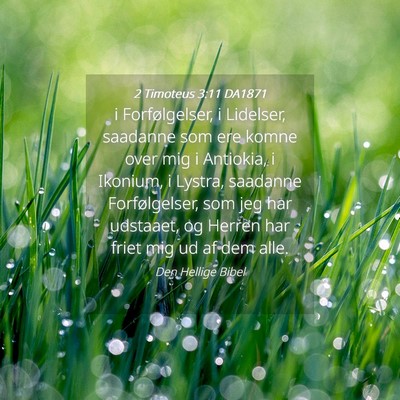 Picture 04 - 2 Timoteus 3:11 DA1871 - i Forfølgelser, i Lidelser, saadanne som ere - Bible Verse Picture