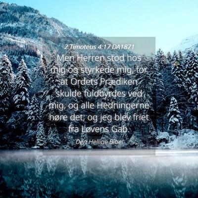 Picture 04 - 2 Timoteus 4:17 DA1871 - Men Herren stod hos mig og styrkede mig, for at - Bible Verse Picture