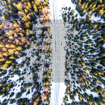 Picture 04 - 3 Johannes 1:8 DA1871 - Derfor ere vi skyldige at tage os af saadanne, - Bible Verse Picture