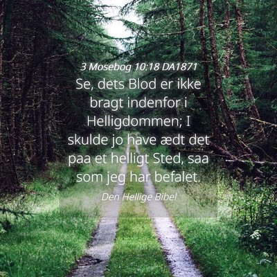 Picture 04 - 3 Mosebog 10:18 DA1871 - Se, dets Blod er ikke bragt indenfor i - Bible Verse Picture