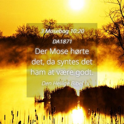 Picture 04 - 3 Mosebog 10:20 DA1871 - Der Mose hørte det, da syntes det ham at være - Bible Verse Picture