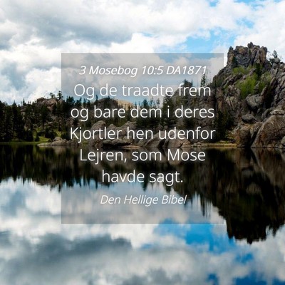 Picture 04 - 3 Mosebog 10:5 DA1871 - Og de traadte frem og bare dem i deres Kjortler - Bible Verse Picture
