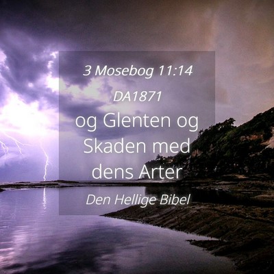 Picture 04 - 3 Mosebog 11:14 DA1871 - og Glenten og Skaden med dens - Bible Verse Picture