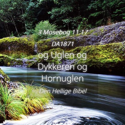 Picture 04 - 3 Mosebog 11:17 DA1871 - og Uglen og Dykkeren og - Bible Verse Picture