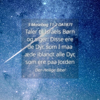 Picture 04 - 3 Mosebog 11:2 DA1871 - Taler til Israels Børn og siger: Disse ere de - Bible Verse Picture