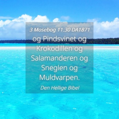 Picture 04 - 3 Mosebog 11:30 DA1871 - og Pindsvinet og Krokodillen og Salamanderen og - Bible Verse Picture