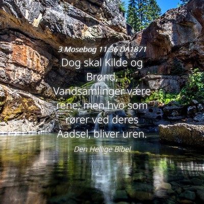 Picture 04 - 3 Mosebog 11:36 DA1871 - Dog skal Kilde og Brønd, Vandsamlinger være - Bible Verse Picture