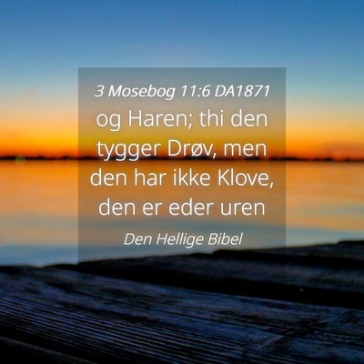Picture 04 - 3 Mosebog 11:6 DA1871 - og Haren; thi den tygger Drøv, men den har ikke - Bible Verse Picture