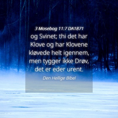 Picture 04 - 3 Mosebog 11:7 DA1871 - og Svinet; thi det har Klove og har Klovene - Bible Verse Picture