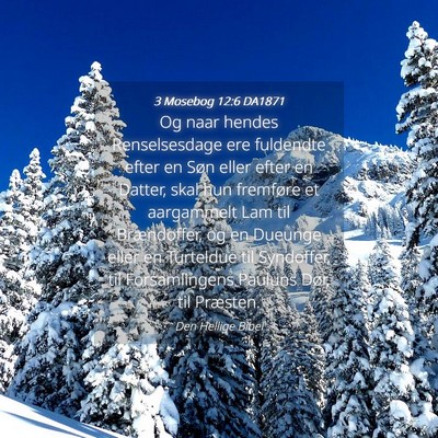 Picture 04 - 3 Mosebog 12:6 DA1871 - Og naar hendes Renselsesdage ere fuldendte efter - Bible Verse Picture