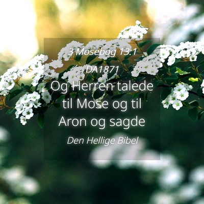 Picture 04 - 3 Mosebog 13:1 DA1871 - Og Herren talede til Mose og til Aron og - Bible Verse Picture