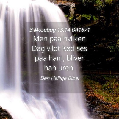 Picture 04 - 3 Mosebog 13:14 DA1871 - Men paa hvilken Dag vildt Kød ses paa ham, - Bible Verse Picture