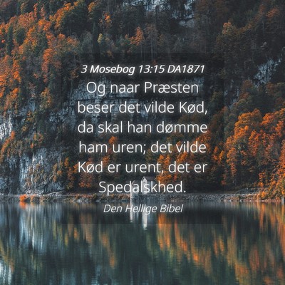 Picture 04 - 3 Mosebog 13:15 DA1871 - Og naar Præsten beser det vilde Kød, da skal - Bible Verse Picture