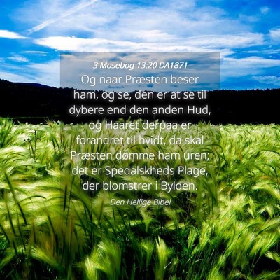 Picture 04 - 3 Mosebog 13:20 DA1871 - Og naar Præsten beser ham, og se, den er at se - Bible Verse Picture